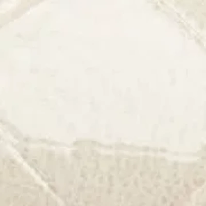 Aleeza Pointy Toe Slingback Dress Flats