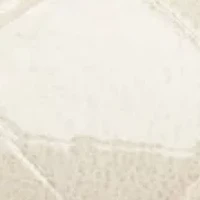 Aleeza Pointy Toe Slingback Dress Flats