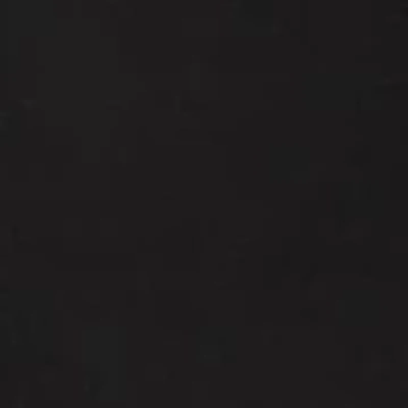 Razla Pointy Toe Tall Shaft Dress Boots