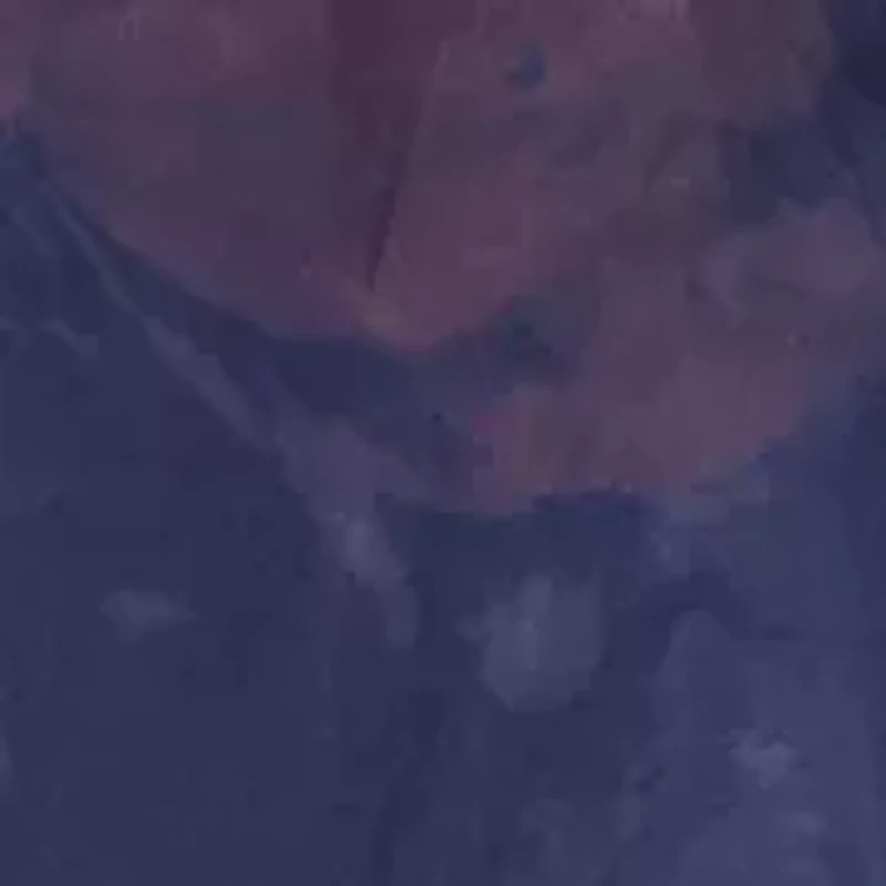 Women's Strapless Print Organza Gown