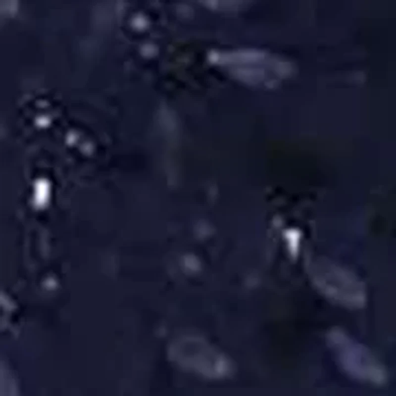 Women's Short Sleeve V-Neck Lace Dress