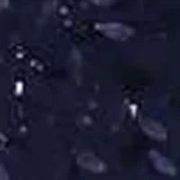 Women's Short Sleeve V-Neck Lace Dress