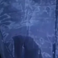 Women's Long Sleeve Organza Midi Shirtdress Gown