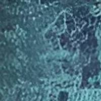 Women's Strapless Boarder Print Dress