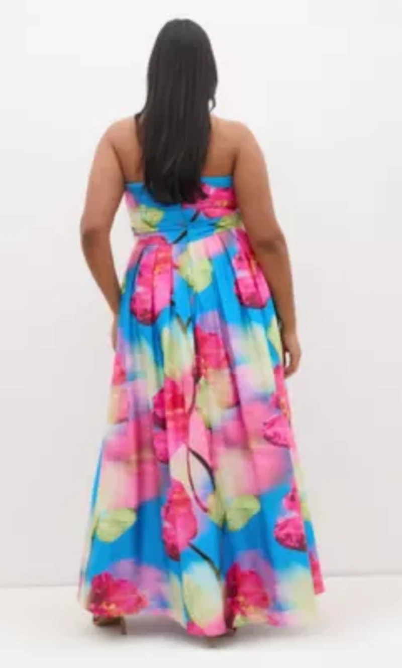 Rosalee Sleeveless Print Maxi Dress
