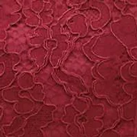 Valentine Lace Dress