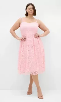 Scarlet Lace Dress