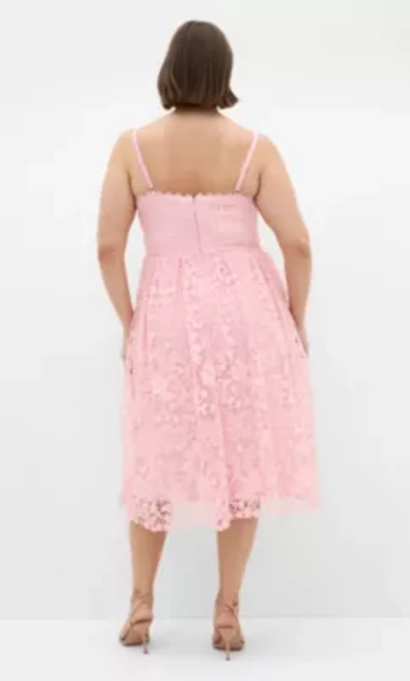 Scarlet Lace Dress