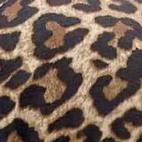 Amaya Leopard Print Maxi Dress