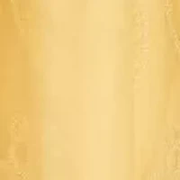 Embroidered Mesh 2pc A-Line Jacket Dress w/ Belt