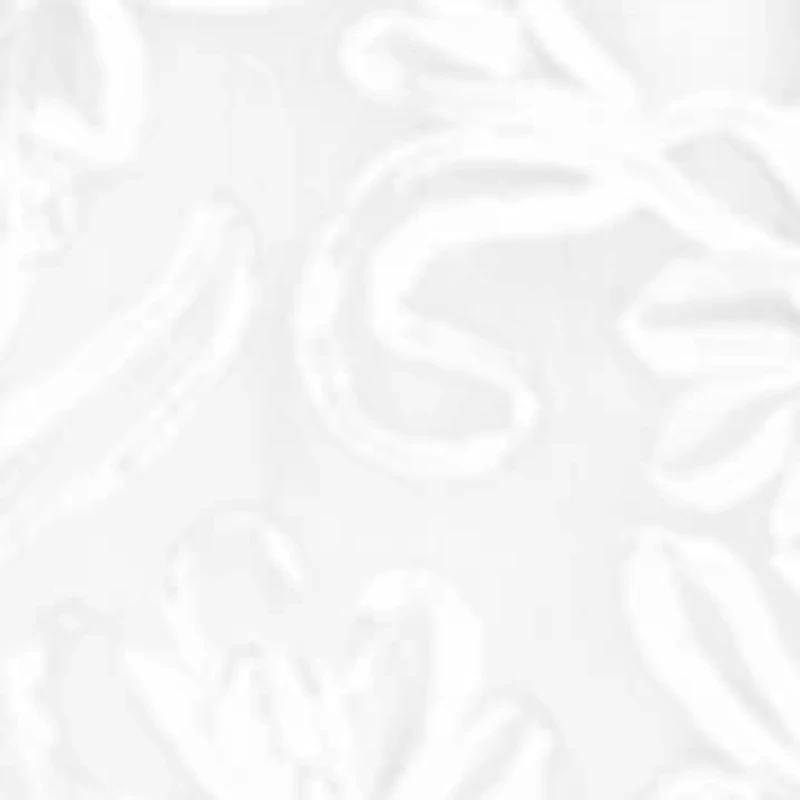 Long Slv Lux Lace A-line Dress w/ Belt - Plus