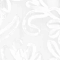 Long Slv Lux Lace A-line Dress w/ Belt - Plus