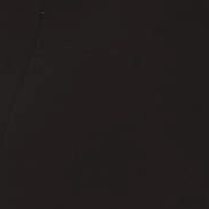 Classic Notch Collar 2-button Single Breasted Jacket