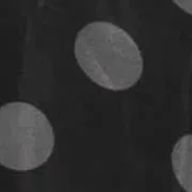 Polka Dot Organza Shirt Dress