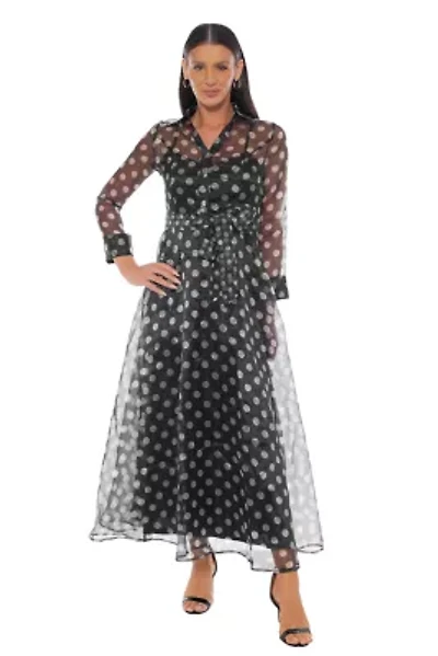 Polka Dot Organza Shirt Dress