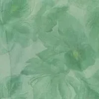 One Shoulder Printed Organza Gown