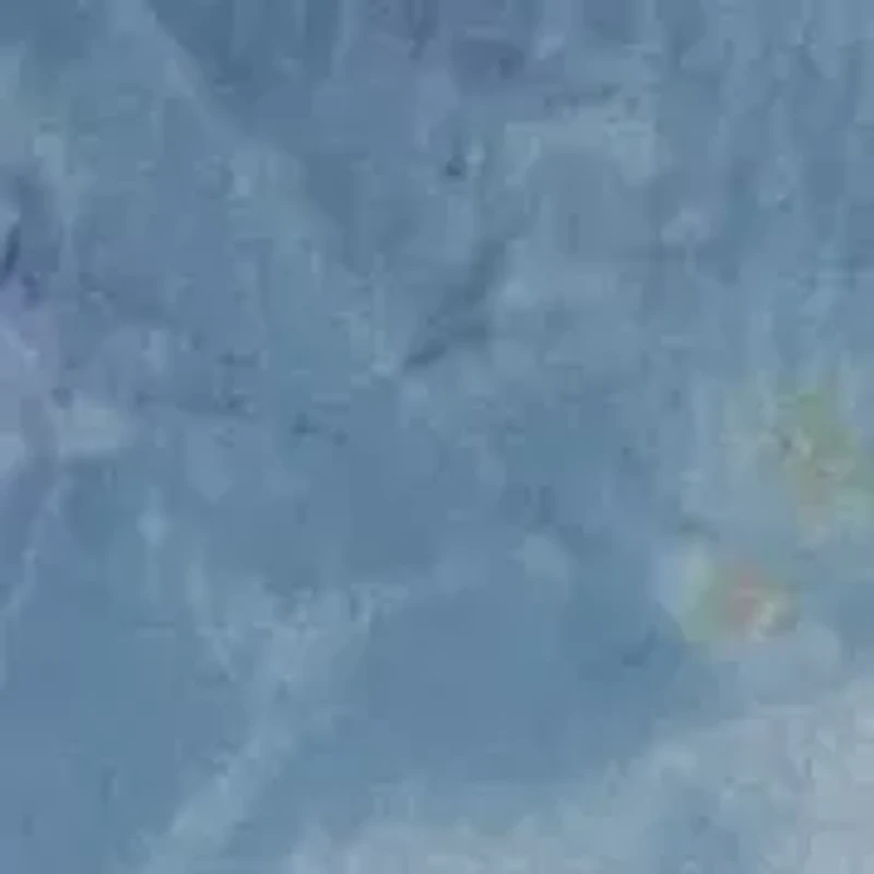 One Shoulder Printed Organza Gown