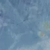 One Shoulder Printed Organza Gown