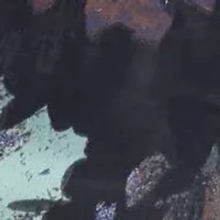 Printed Brocade Hi-Low Dress