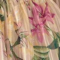 Women's Long Sleeve Printed Chiffon A-Line Dress