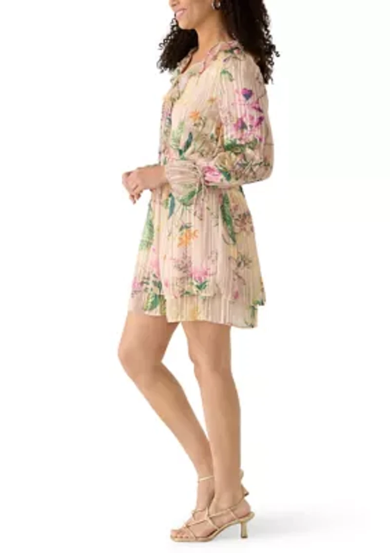 Women's Long Sleeve Printed Chiffon A-Line Dress