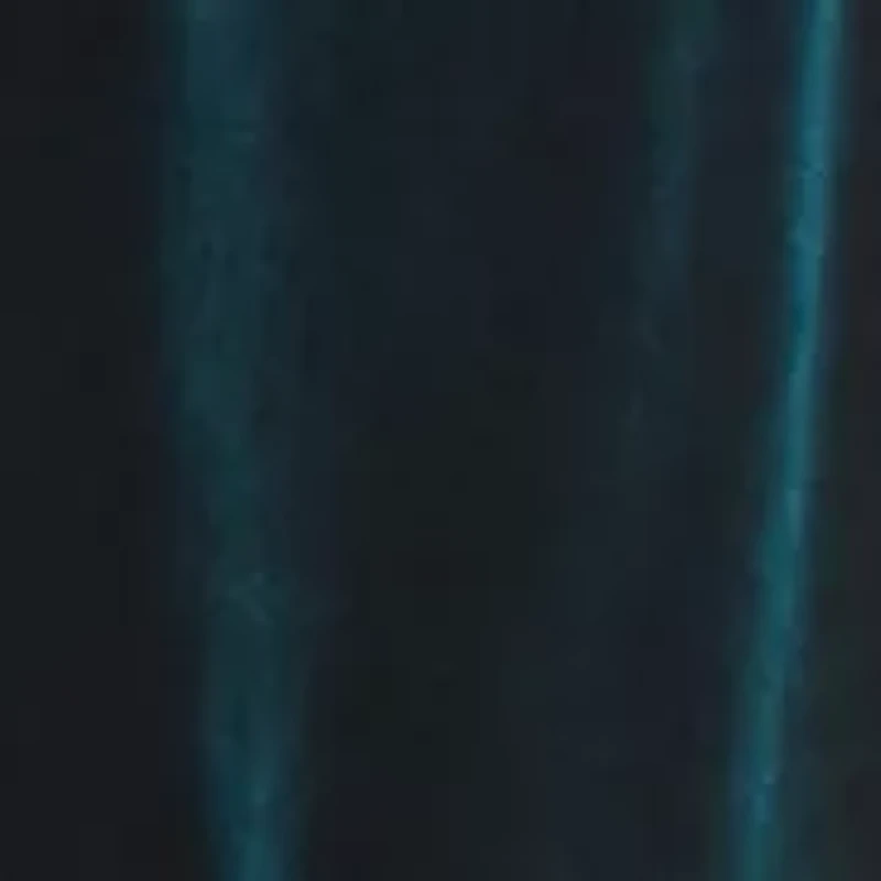 Women's Blouson Sleeve Ruched Waist Velvet Hunter Dress