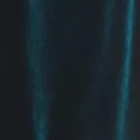 Women's Blouson Sleeve Ruched Waist Velvet Hunter Dress