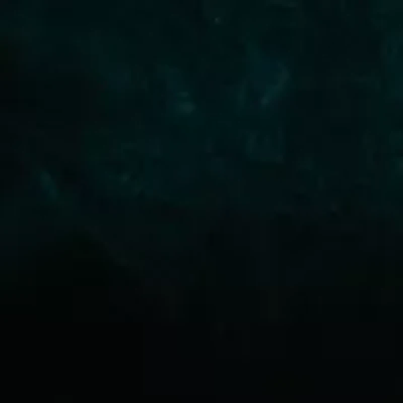 Women's Elbow Sleeve Velvet Shirred Sheath Dress