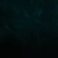 Women's Elbow Sleeve Velvet Shirred Sheath Dress