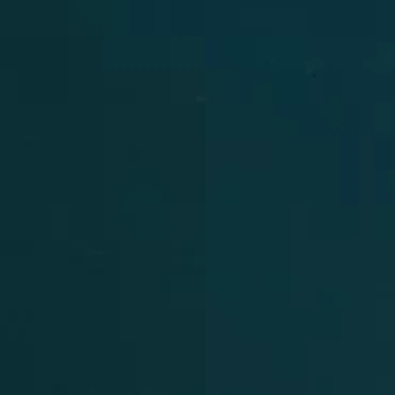 Women's Long Sleeve Turtleneck Shift Dress