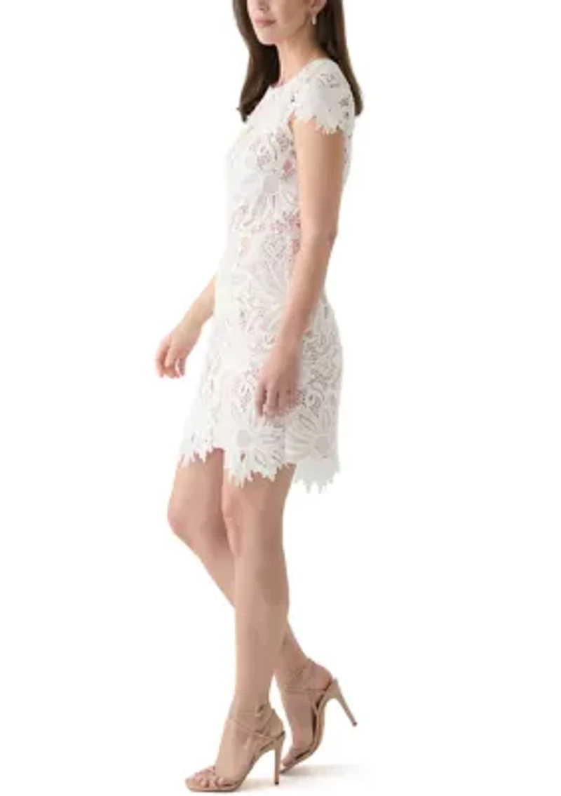 Women's Solid Lace Sheath Dress