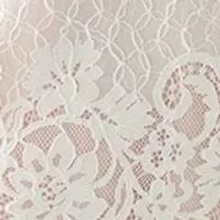 Women's Lace A-Line Dress