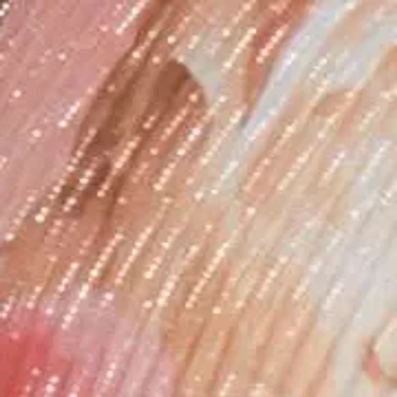 Printed Mesh Jacket Dress