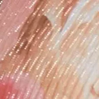 Printed Mesh Jacket Dress