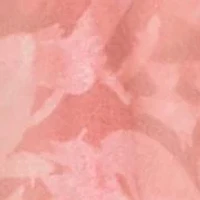 Long Printed Organza Dress