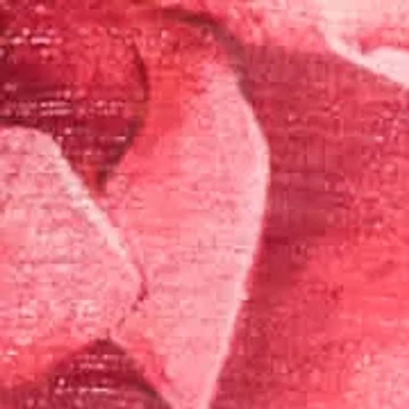 Long Chiffon Floral Dress