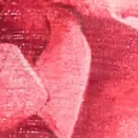 Long Chiffon Floral Dress