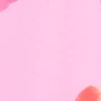 Short Chiffon Floral Dress