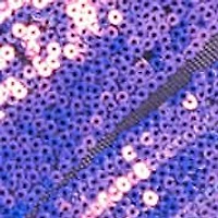 Long Two Tone Sequin Dress