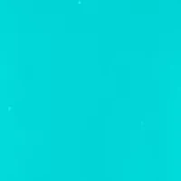 Women's Sleeveless Gown with Ruffle and Gathered Front