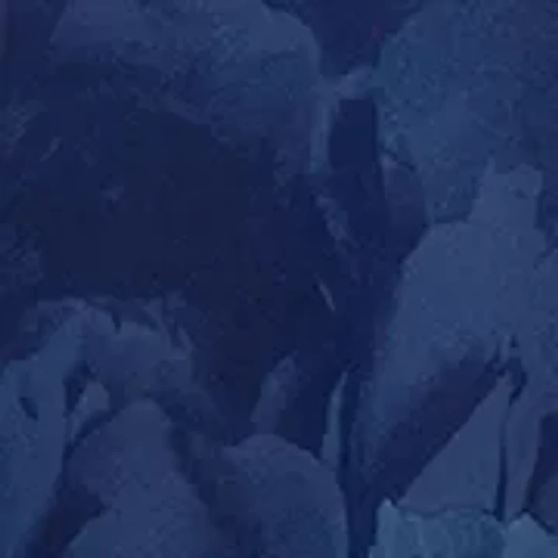 Women's Sleeveless Mock Neck Floral Gown