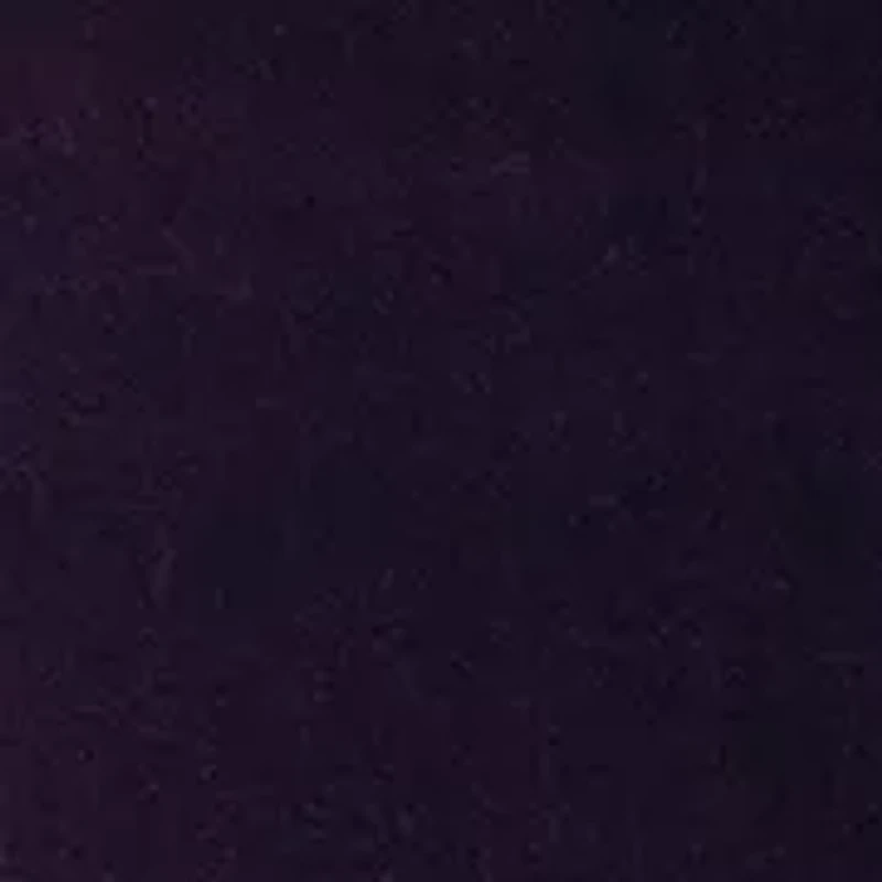 Women's Long Sleeve V-Neck Solid Velvet Gown