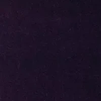 Women's Long Sleeve V-Neck Solid Velvet Gown