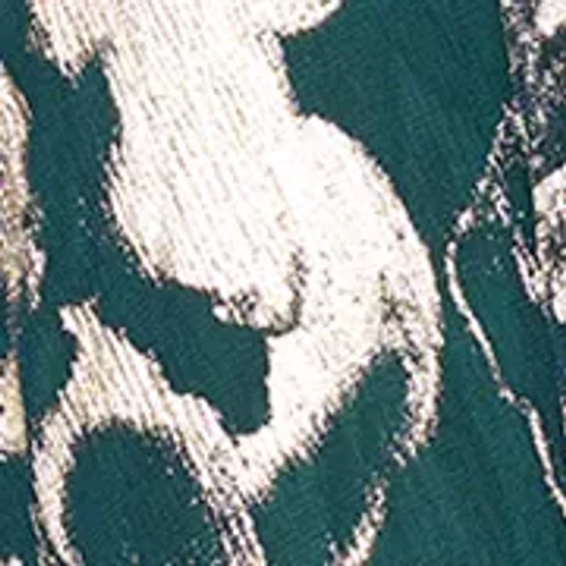 Women's Sleeveless Halter Print Metallic Gown