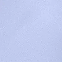 Women's Sleeveless Halter Satin Gown