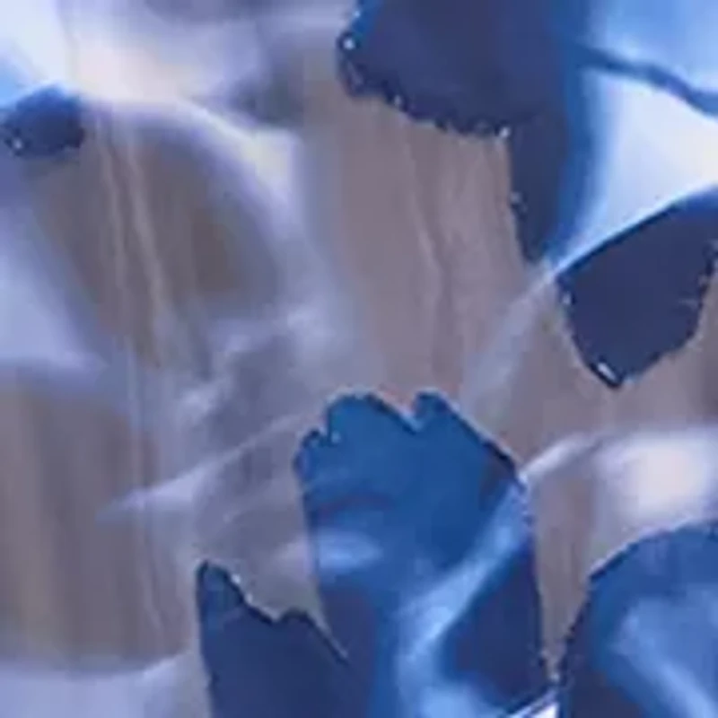 Women's Long Sleeve V-Neck Floral Print Chiffon A-Line Dress