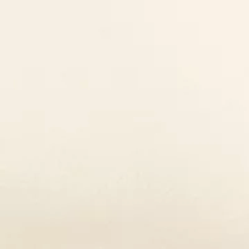 Plus Short Sleeve Side Tab Scuba Midi Dress