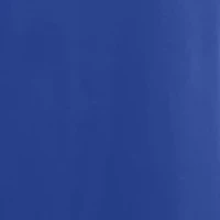 Women's Sleeveless V-Neck Belted Dress