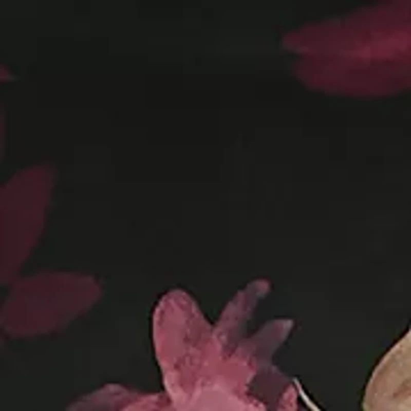 Women's Floral Mesh Bodycon Dress