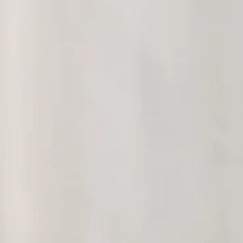 Women's V-Neck Pleated Dress